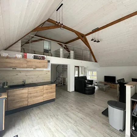Chez L'olivier Apartment Linthal